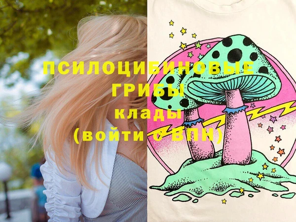 ешки Михайловск