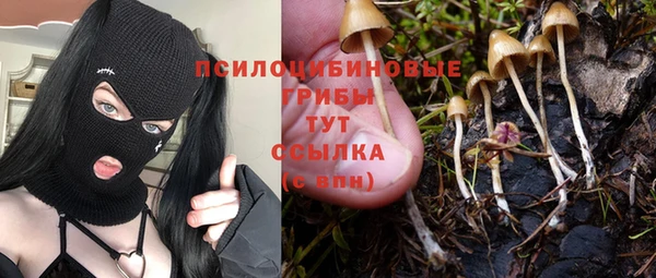 PSILOCYBIN Волосово