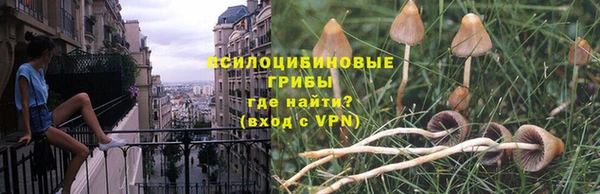 ешки Михайловск