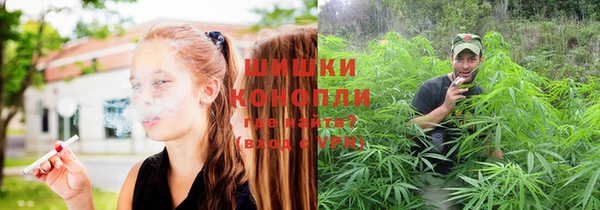 ешки Михайловск