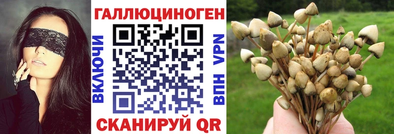 мега ТОР  Кирово-Чепецк  Галлюциногенные грибы Psilocybine cubensis  сколько стоит 